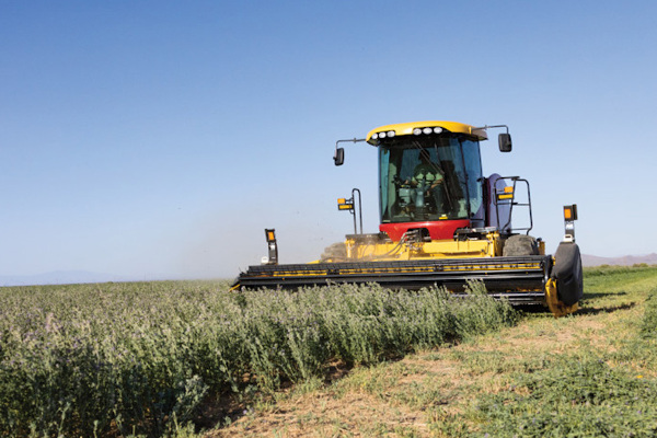 New Holland Haybine® 14HS for sale at Berchtold Equipment Co., California New Holland Haybine® 14HS for sale at Berchtold Equipment Co., California