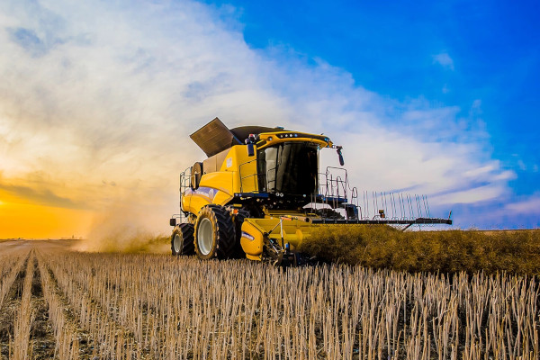 New Holland | Combines & Headers | Pick-Up Heads for sale at Berchtold Equipment Co., California