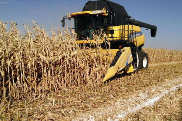 New Holland 99C Chopping Corn Head (PRIOR MODELS) for sale at Berchtold Equipment Co., California New Holland 99C Chopping Corn Head (PRIOR MODELS) for sale at Berchtold Equipment Co., California